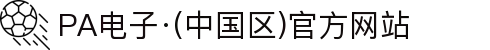 PA电子·(中国区)官方网站